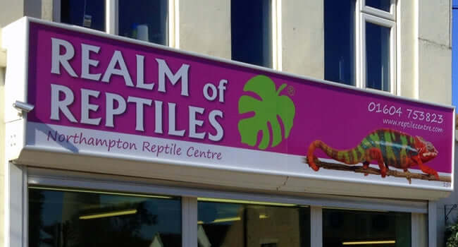 How to turn your Reptile Hobby into a Business