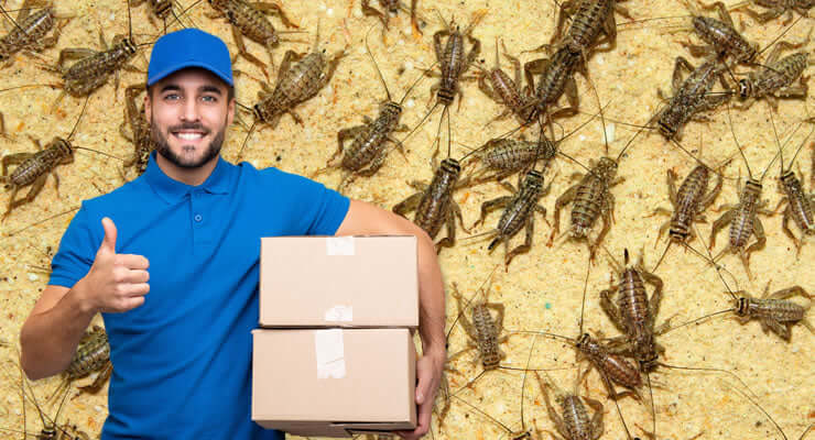 Receiving Livefood Deliveries During Cold Weather