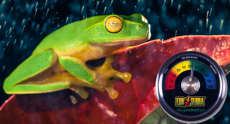 how to increase humidity for reptiles