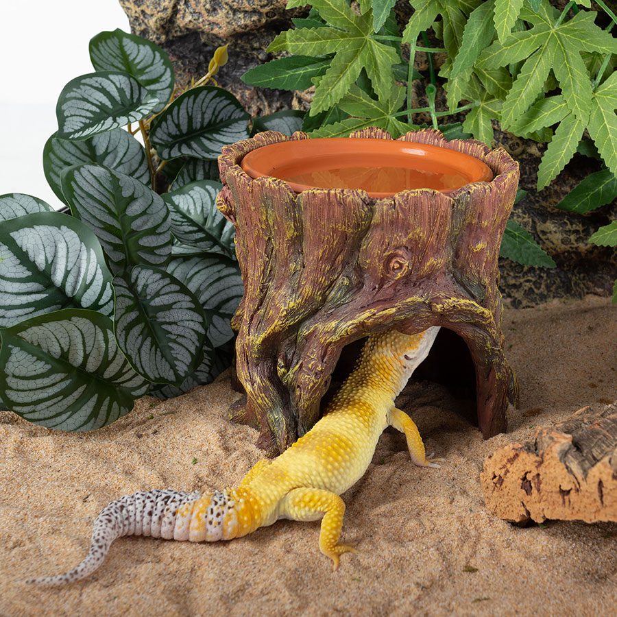 ReptiZoo Humid Tree Stump Hideout and Dish