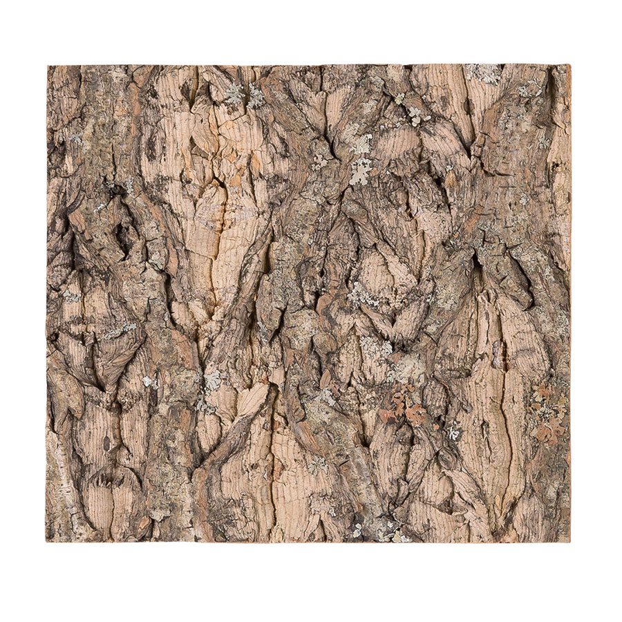 ReptiZoo Natural Cork Tile Background