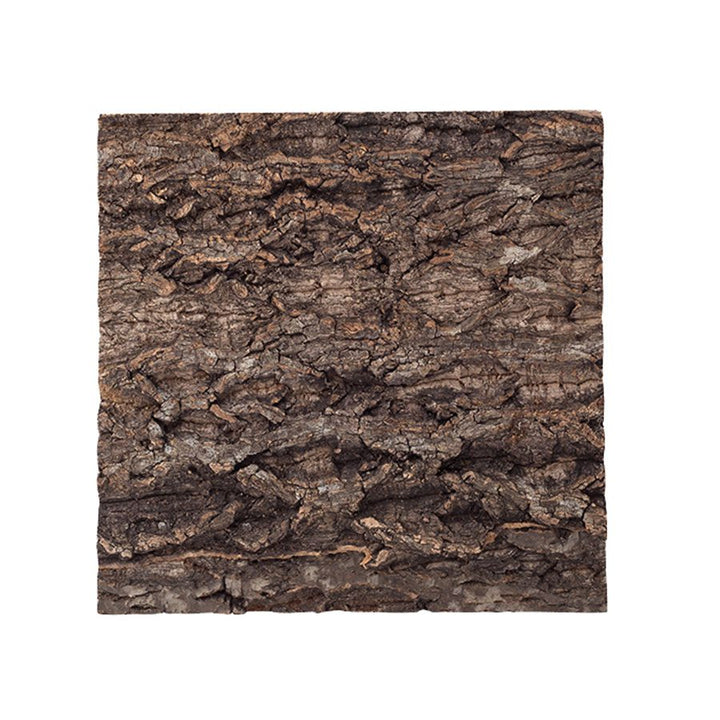 ReptiZoo Natural Cork Tile Background