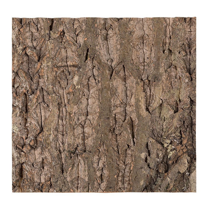 ReptiZoo Natural Cork Tile Background