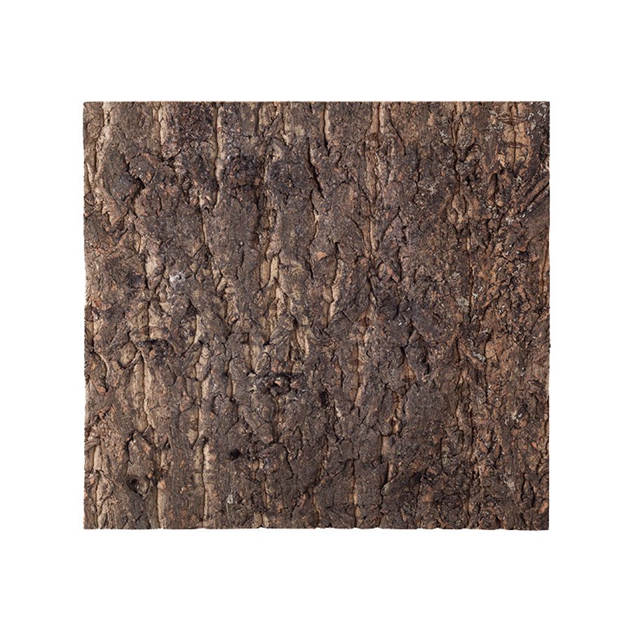 ReptiZoo Natural Cork Tile Background