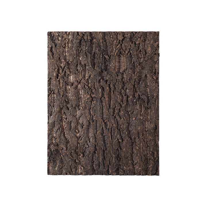 ReptiZoo Natural Cork Tile Background