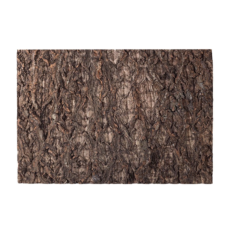 ReptiZoo Natural Cork Tile Background