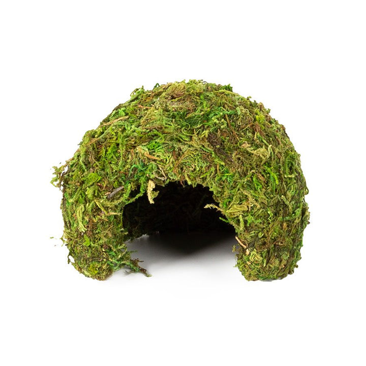 ReptiZoo Natural Moss Dome