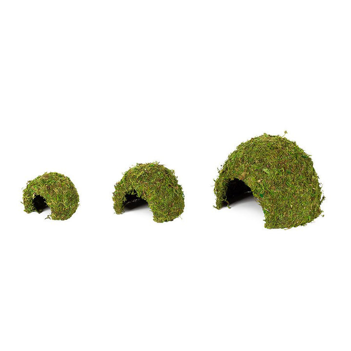 ReptiZoo Natural Moss Dome