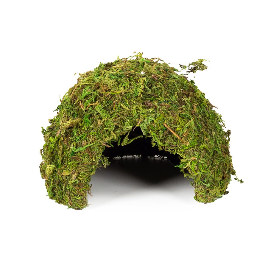 ReptiZoo Natural Moss Dome