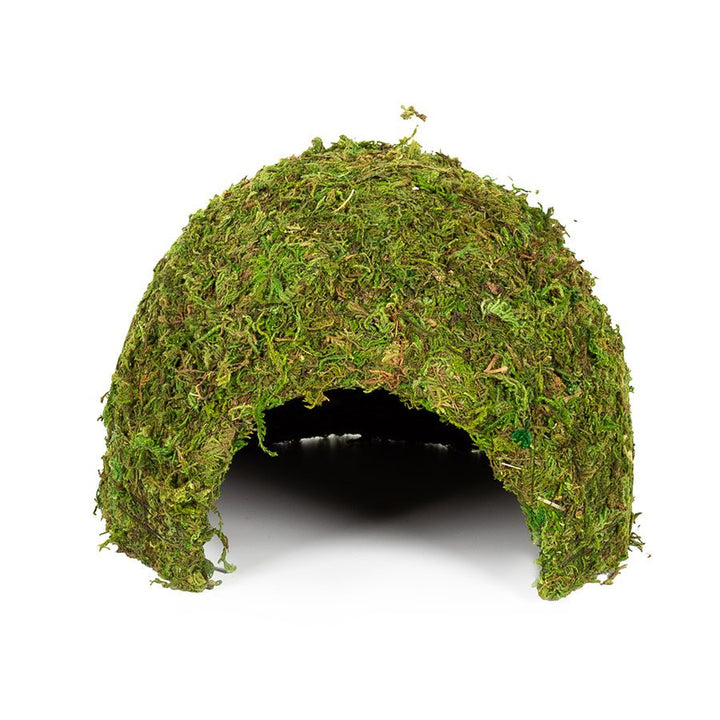 ReptiZoo Natural Moss Dome