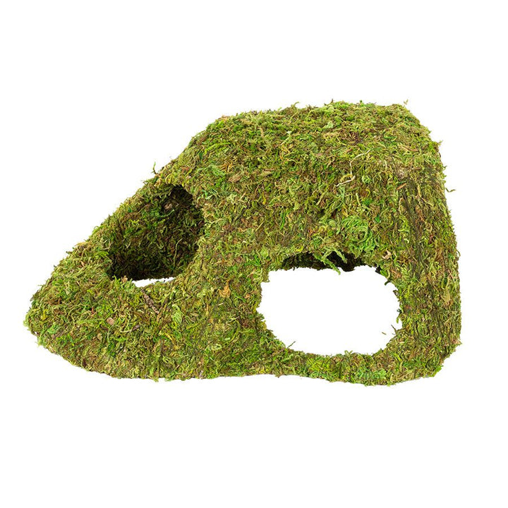 ReptiZoo Natural Moss Dome