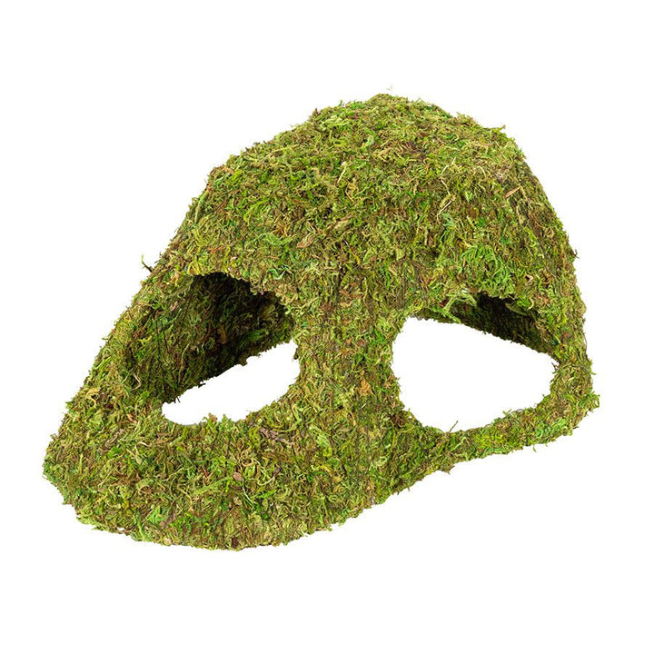 ReptiZoo Natural Moss Dome