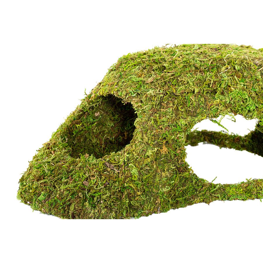 ReptiZoo Natural Moss Dome