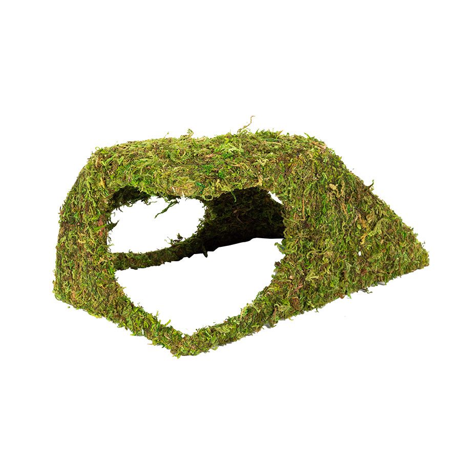 ReptiZoo Natural Moss Dome