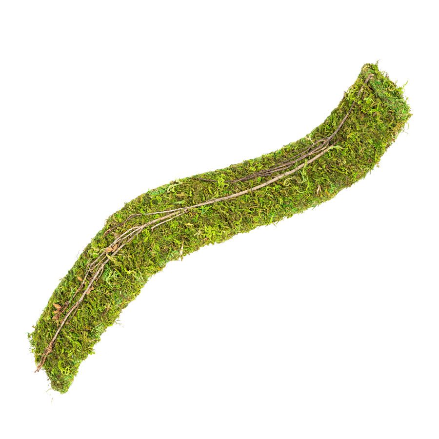 ReptiZoo Natural Moss Flex Bridge