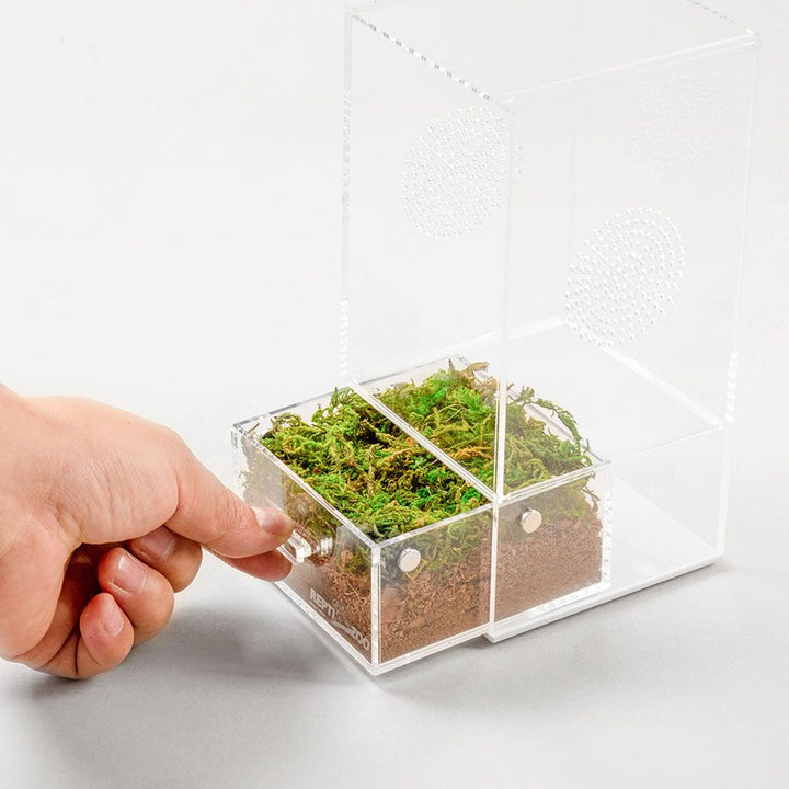 ReptiZoo Acrylic Case with Removable Tray