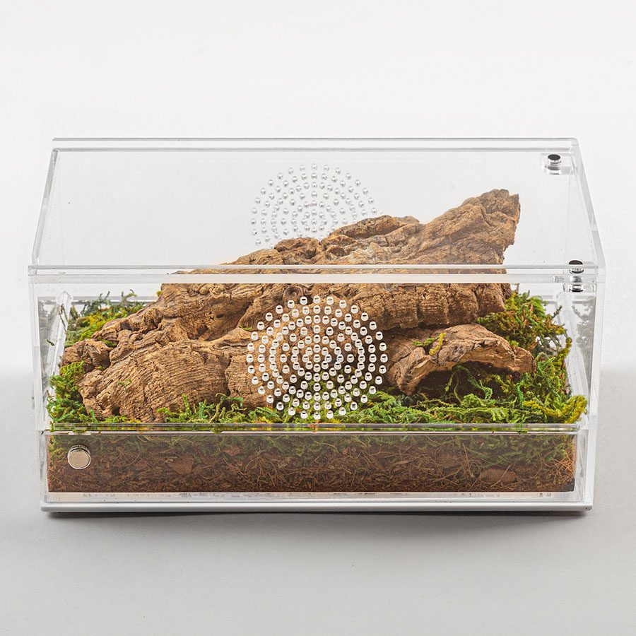 ReptiZoo Acrylic Case with Removable Tray