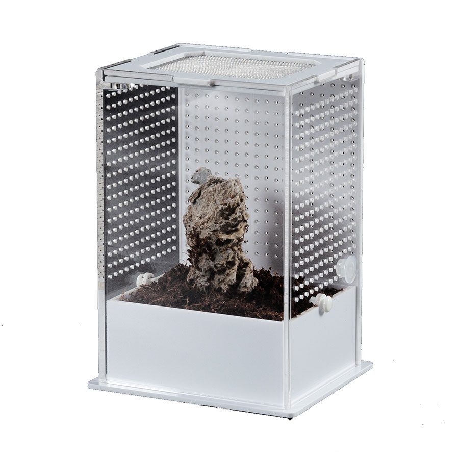 ReptiZoo Insect Acrylic Box White Base