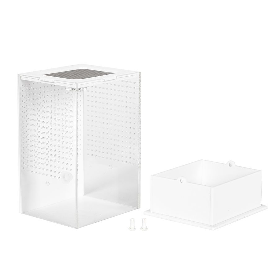 ReptiZoo Insect Acrylic Box White Base