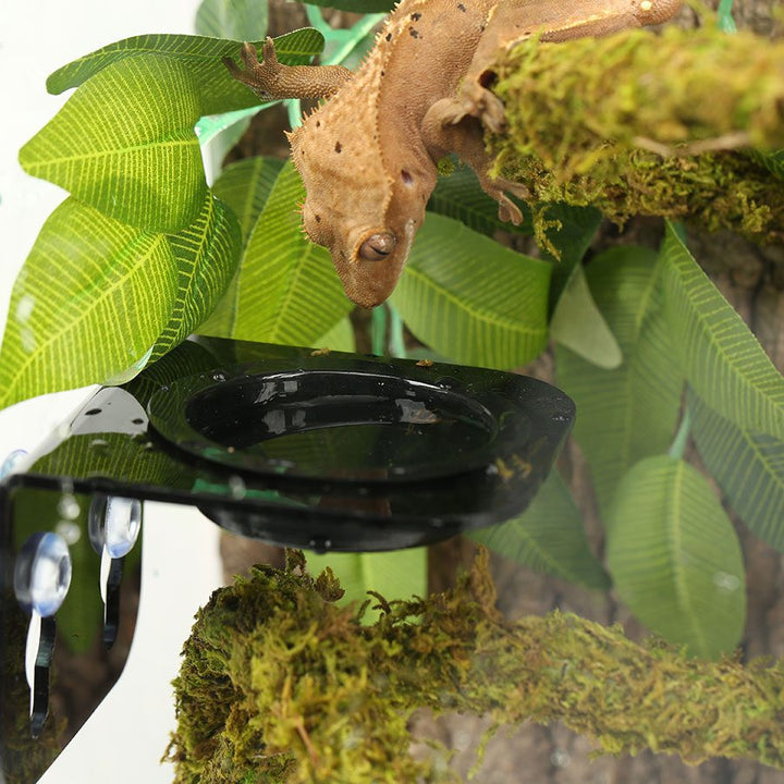 ReptiZoo Arboreal Feeder 8x8cm