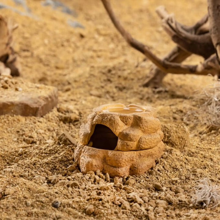 Exo Terra Big Rock Ceramic Cave Small in desert