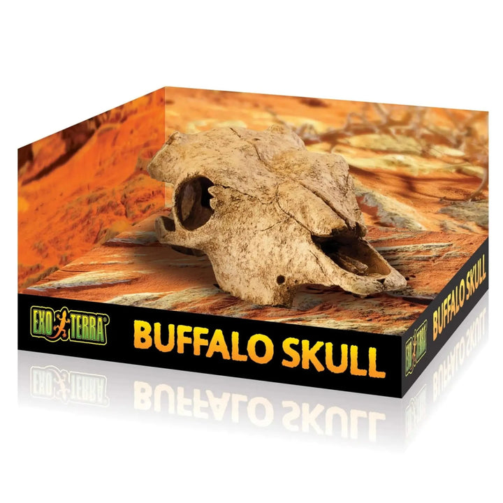 Buy Exo Terra Buffalo Skull (DHS115) Online at £15.99 from Reptile Centre