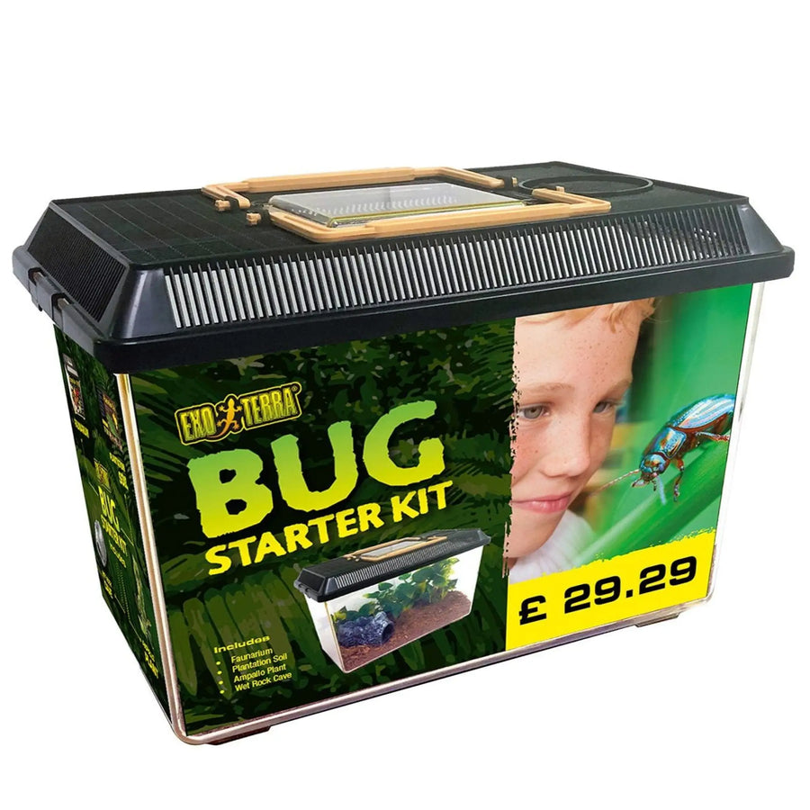 Exo Terra Bug Starter Kit