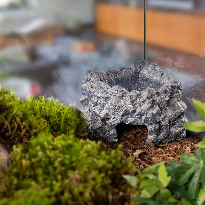 Exo Terra Ceramic Corner Cave Medium in a forest tank