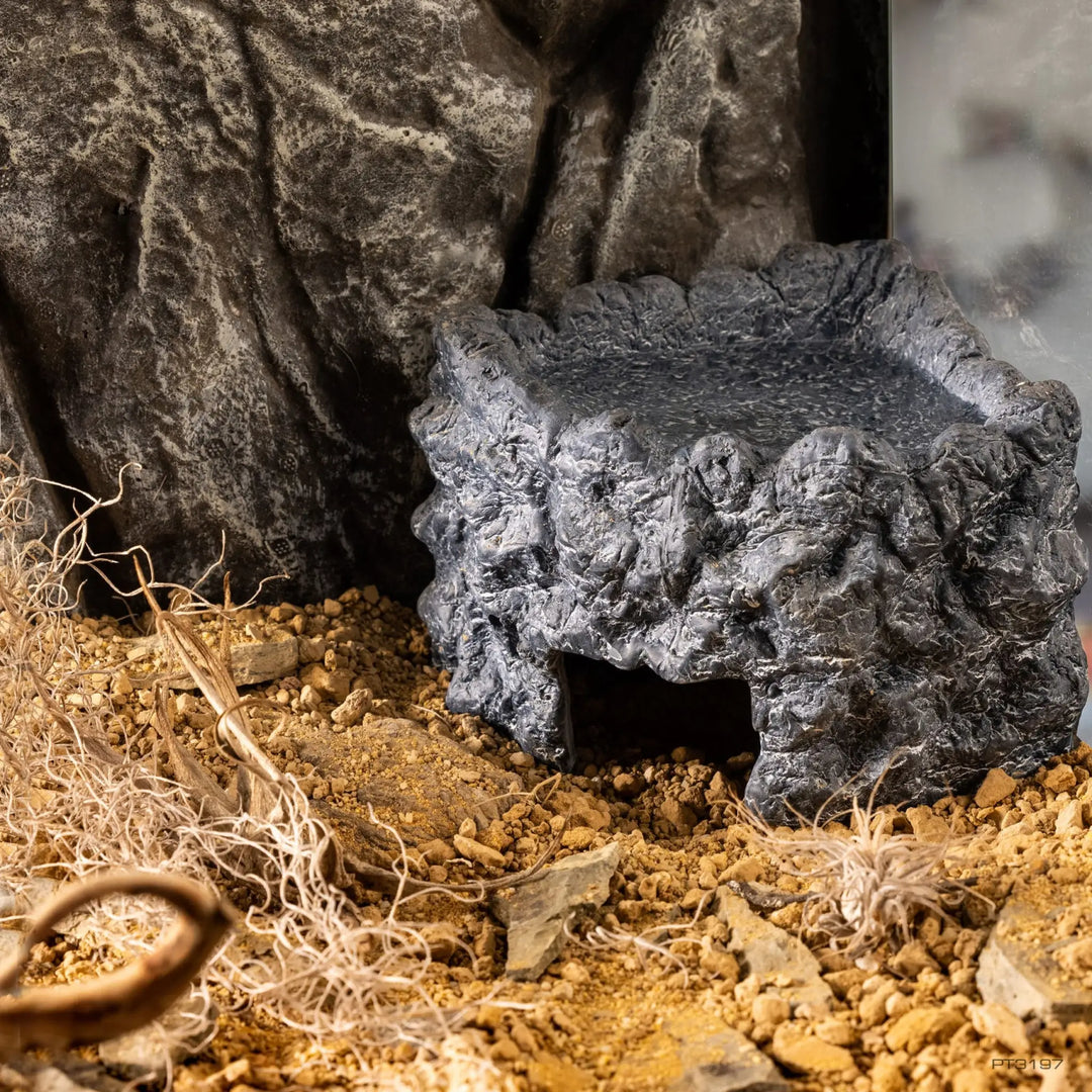 Exo Terra Ceramic Corner Cave Large in a desert tank