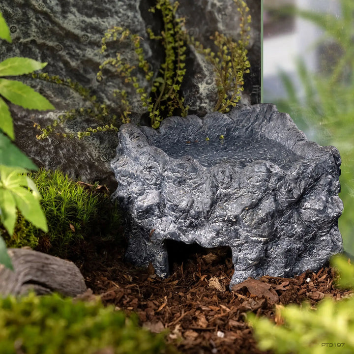 Exo Terra Ceramic Corner Cave Large in a forest tank