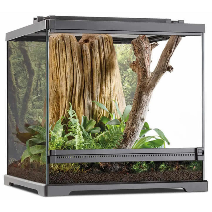 Buy Exo Terra Dart Frog Terrarium 45x45x45cm (THT016) Online at £163.99 from Reptile Centre