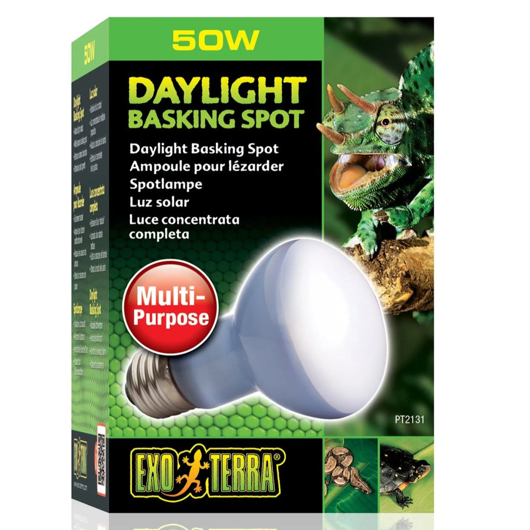 Exo terra daylight bulb best sale