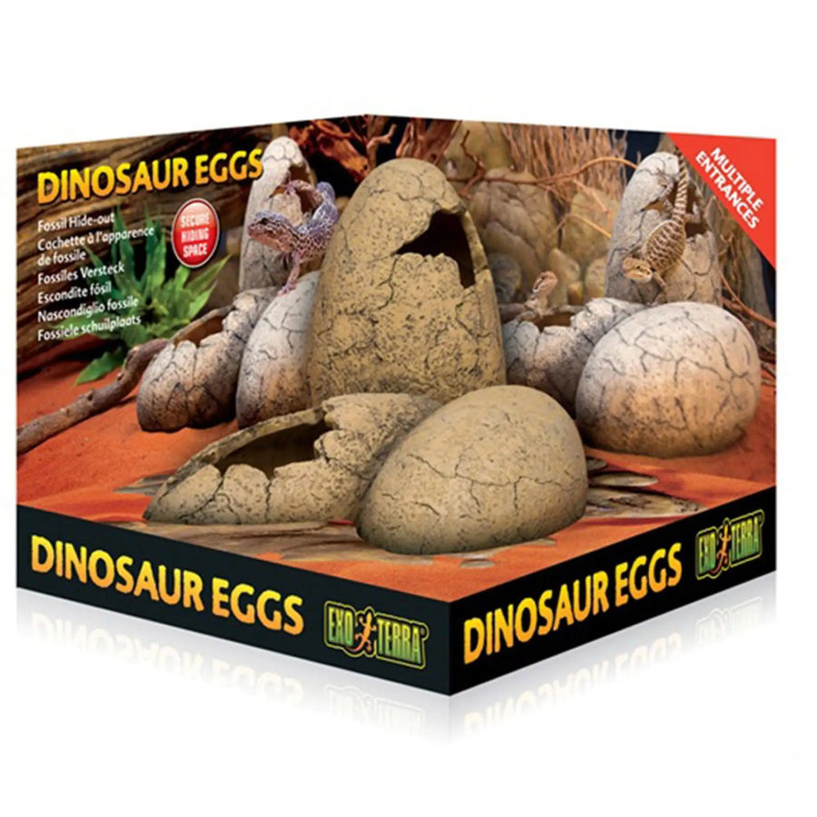 Exo Terra Dinosaur Eggs Fossil Hide Out