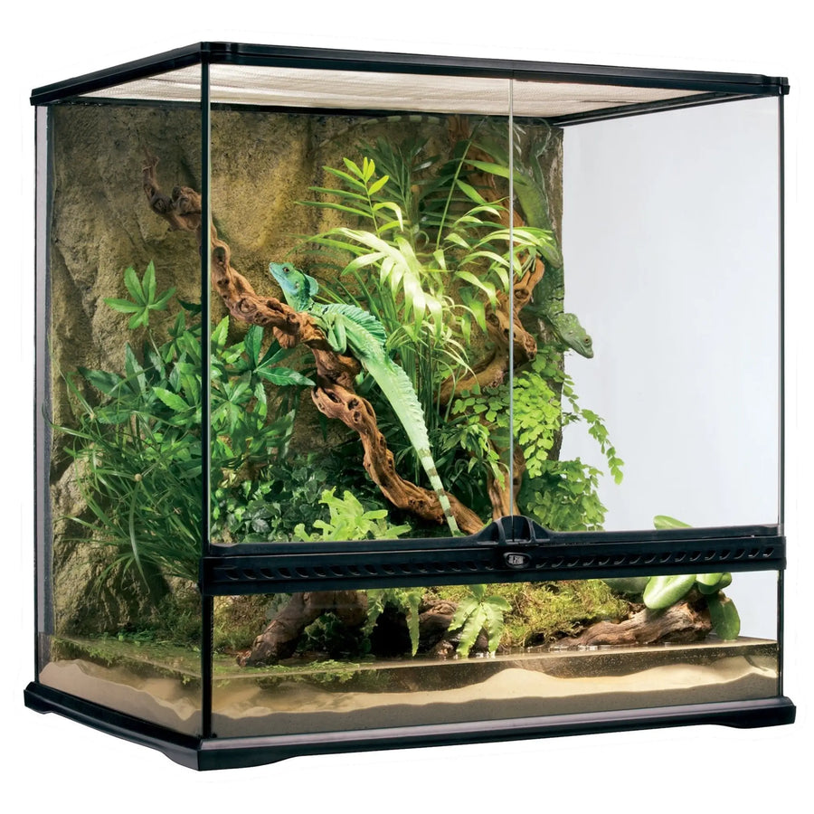 Exo Terra Glass Terrarium Medium Tall - 60X45X60Cm Terrariums