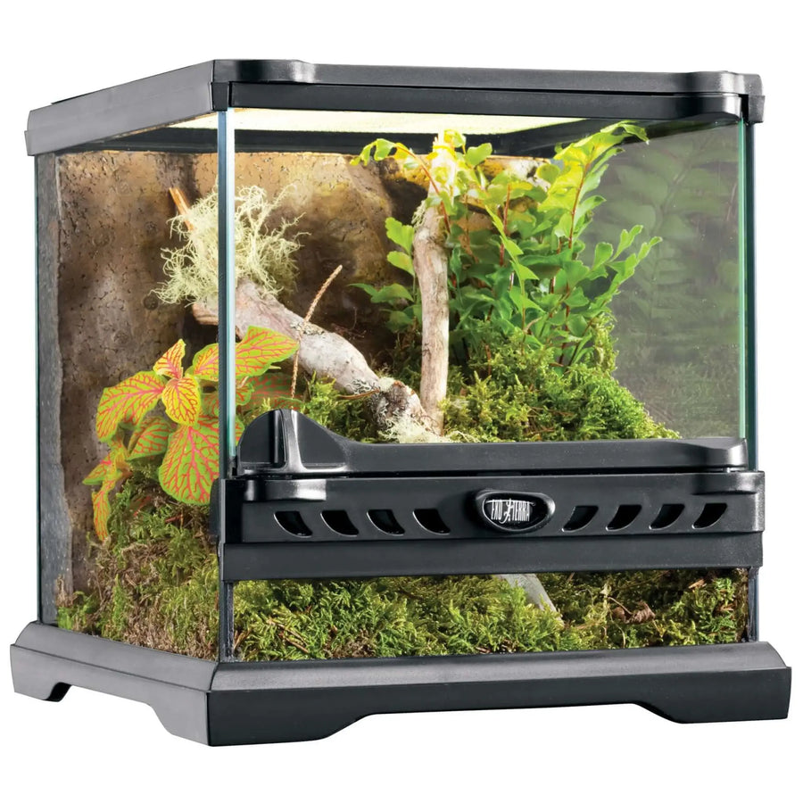 Buy Exo Terra Glass Terrarium Nano Wide - 20x20x20cm (THT002) Online at £52.49 from Reptile Centre