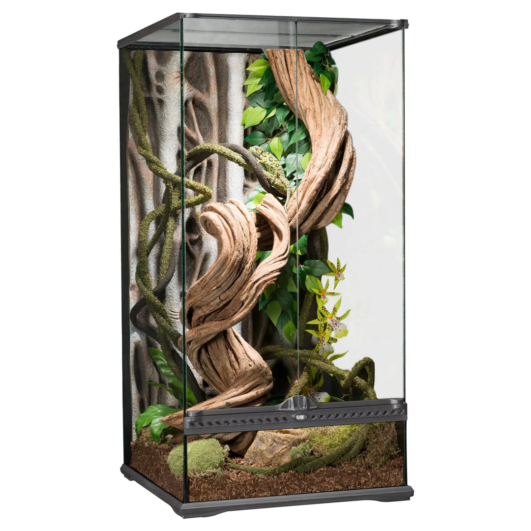 Exo Terra Glass Terrarium Small X-Tall - 45X45X90Cm Terrariums