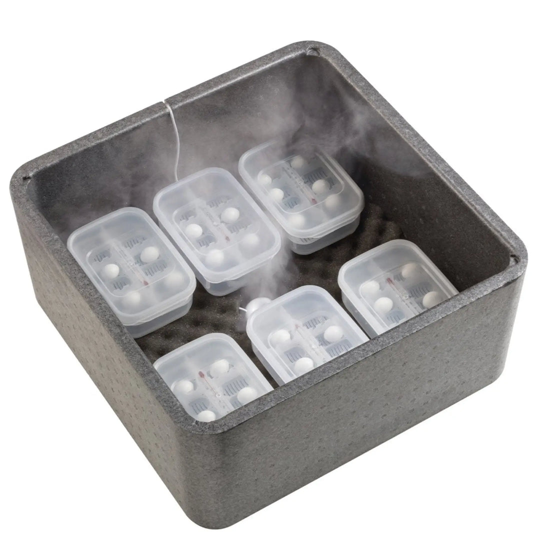 Exo Terra Incubation Box Incubators