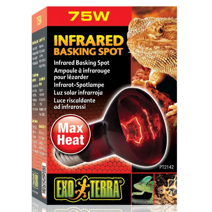 Exo Terra Infrared Basking Spot Lamp 75W Heating