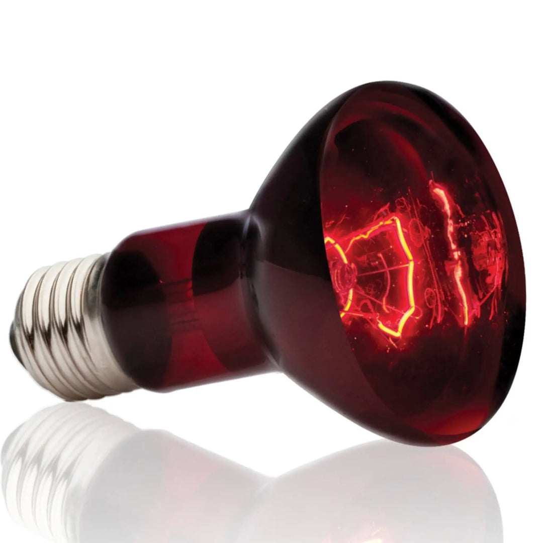 Exo Terra Infrared Basking Spot Lamp Heating