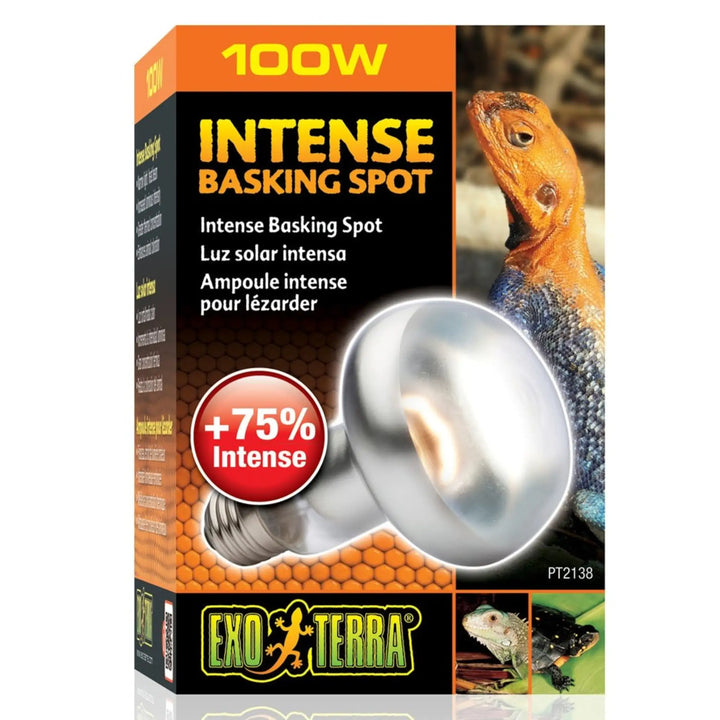 Exo Terra Intense Basking Spot 100W Heating