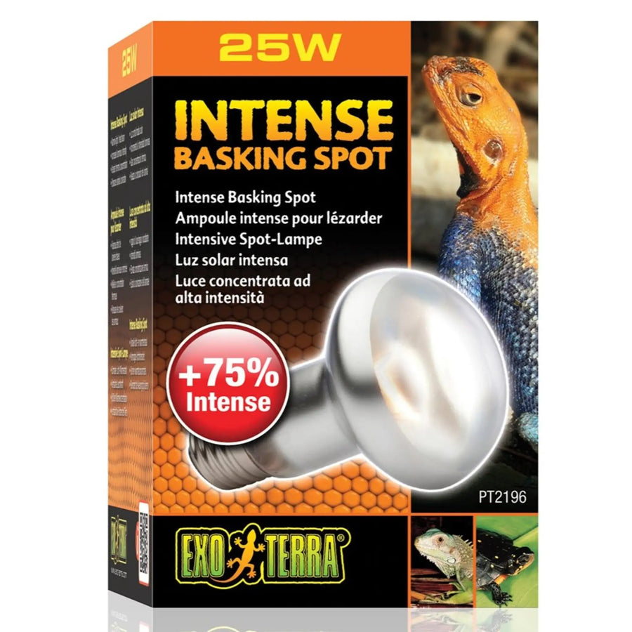 Exo Terra Intense Basking Spot 25W Heating