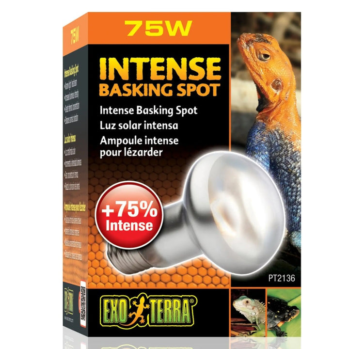 Exo Terra Intense Basking Spot 75W Heating