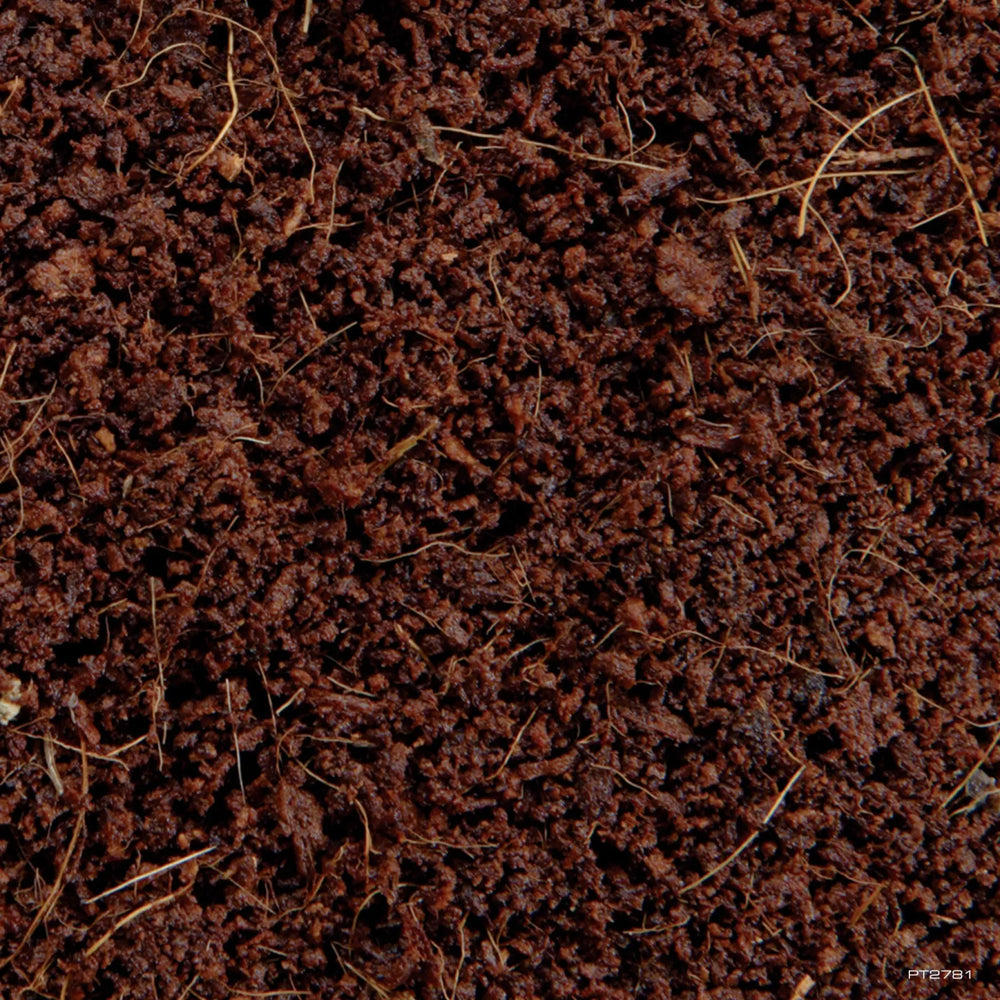 Exo Terra Plantation Soil Substrate 8.8L Substrates