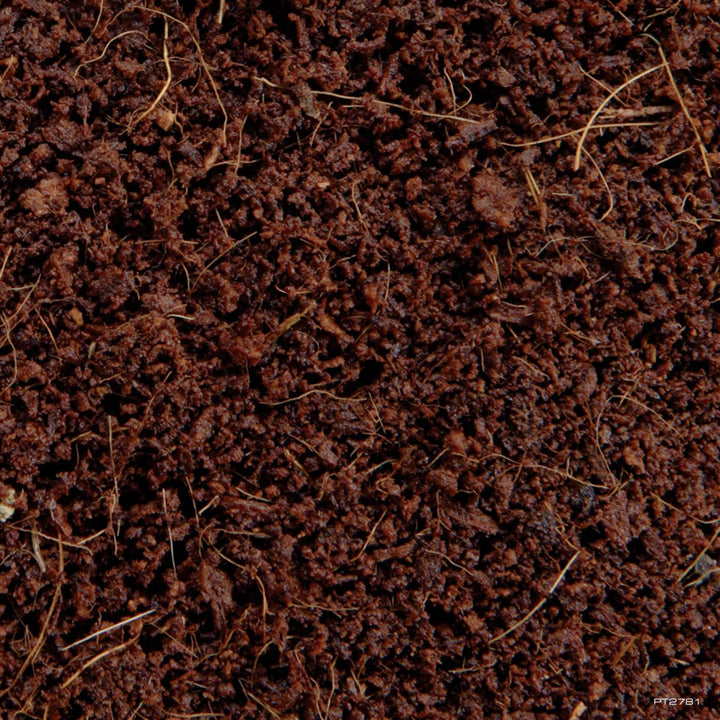 Exo Terra Plantation Soil Substrate 8.8L Substrates