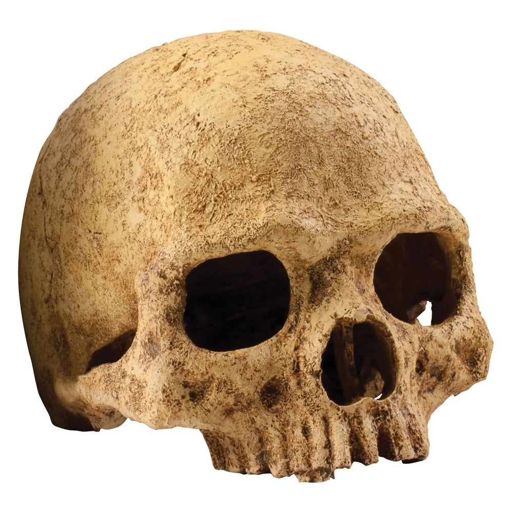 Exo Terra Primate Skull Standard Decor