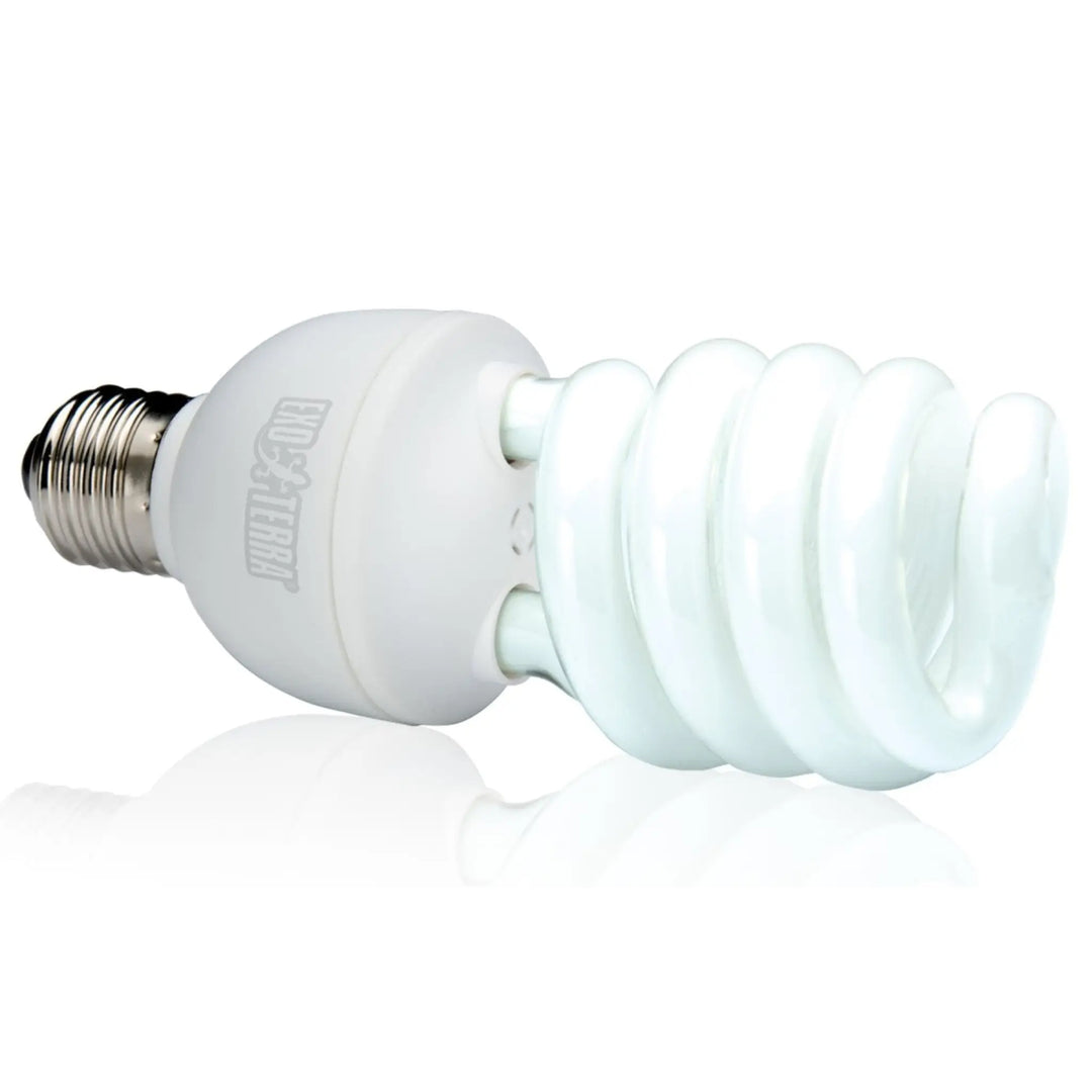 Exo terra 100 watt bulb best sale