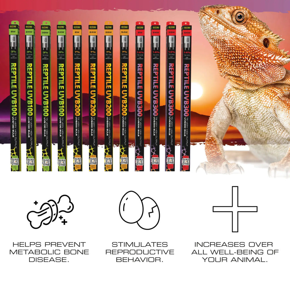 ExoTerra Reptile UVB100 T5 VHO Benefits