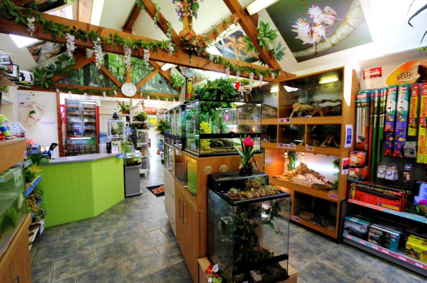 Northampton Reptile Centre Reptile Supplies Live Food Vivariums