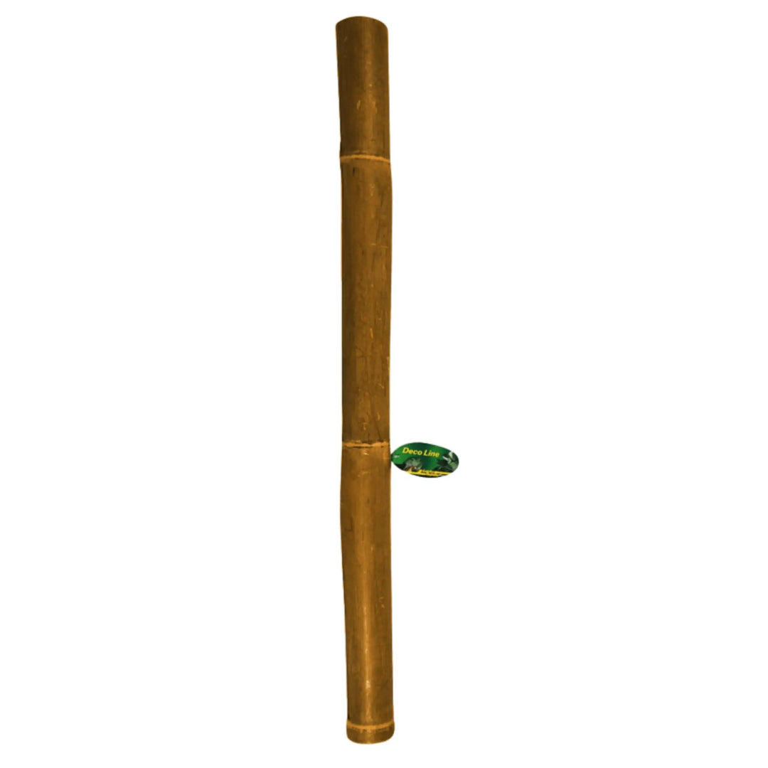 Lucky Reptile Bamboo Stick 5Cm X1M Decor