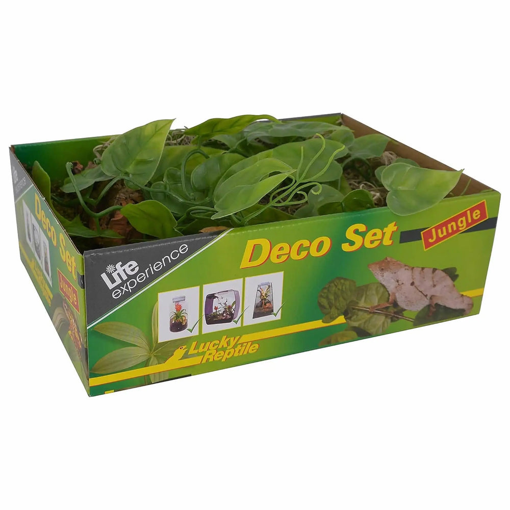 Lucky Reptile Life Experience Deco Set Jungle Decor